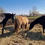 Maxim Nad Jeziorem Zaleze (Pyrzyce)